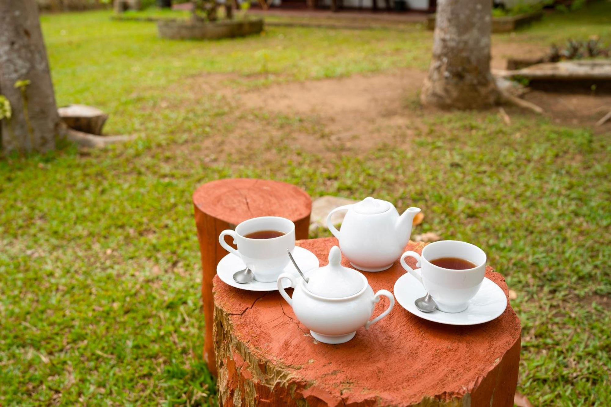 Wild Hut Habarana Bed & Breakfast Exterior photo